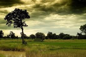 brisa-da-tarde.jpg brisa-da-tarde.jpg